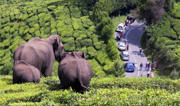 Kerala