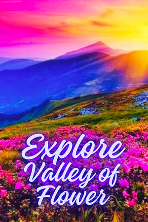 valley of flower